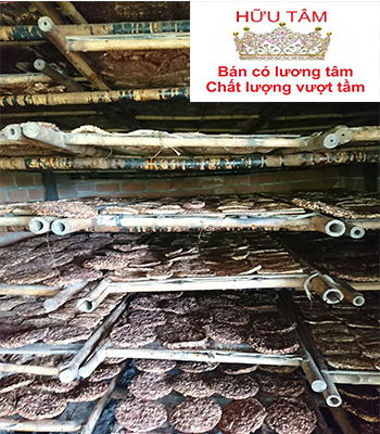 5kg Chuối hột Khô CAO CẤP
