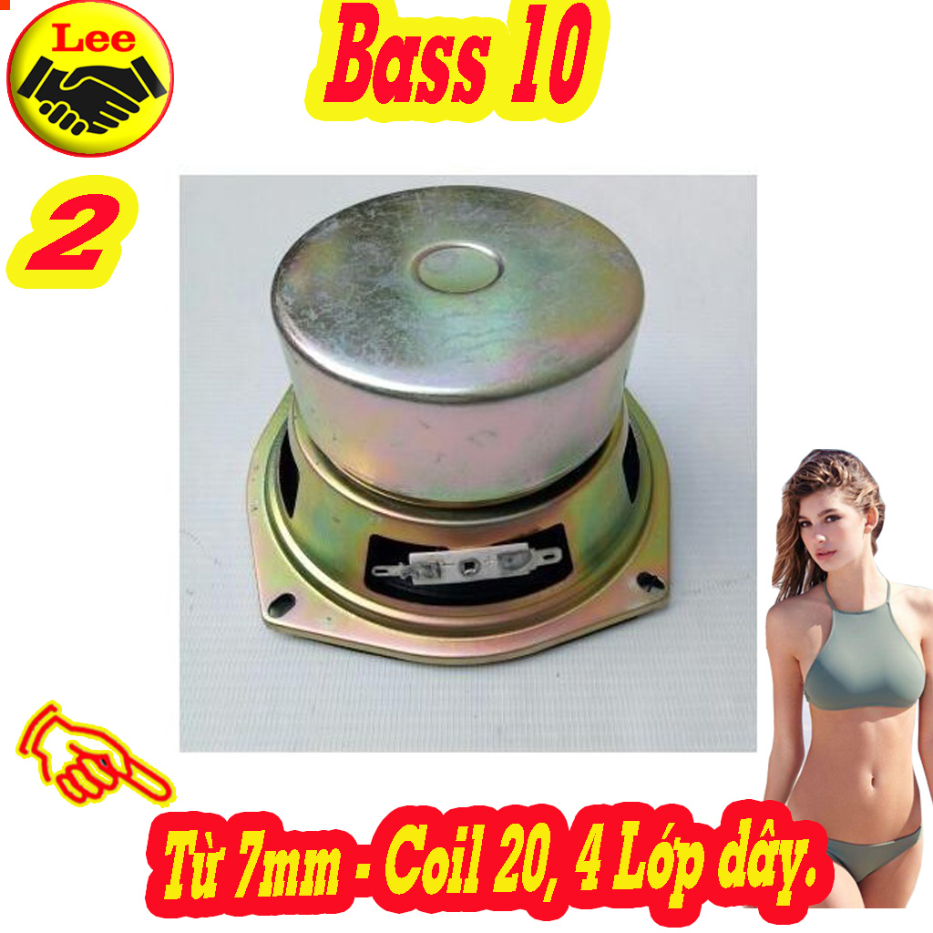 LOA BASS 10 VI TÍNH – GIÁ 1 ĐÔI