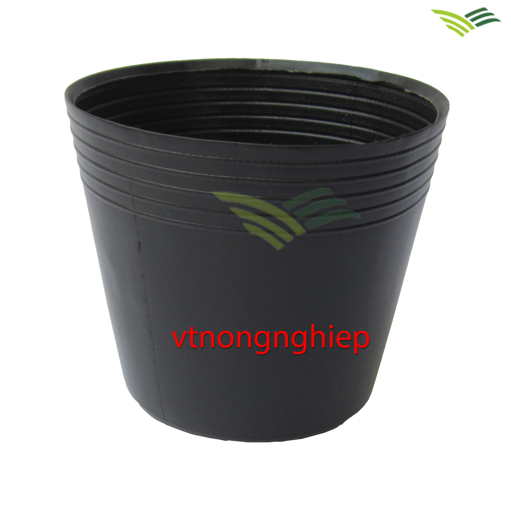 50 chậu nhựa trồng cây C6 kích thước :14x10x12(cm)