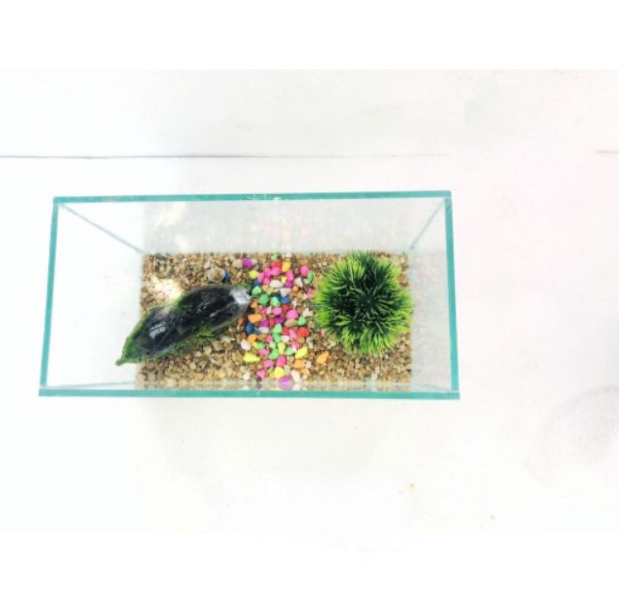 Hồ cá mini 28x10x13