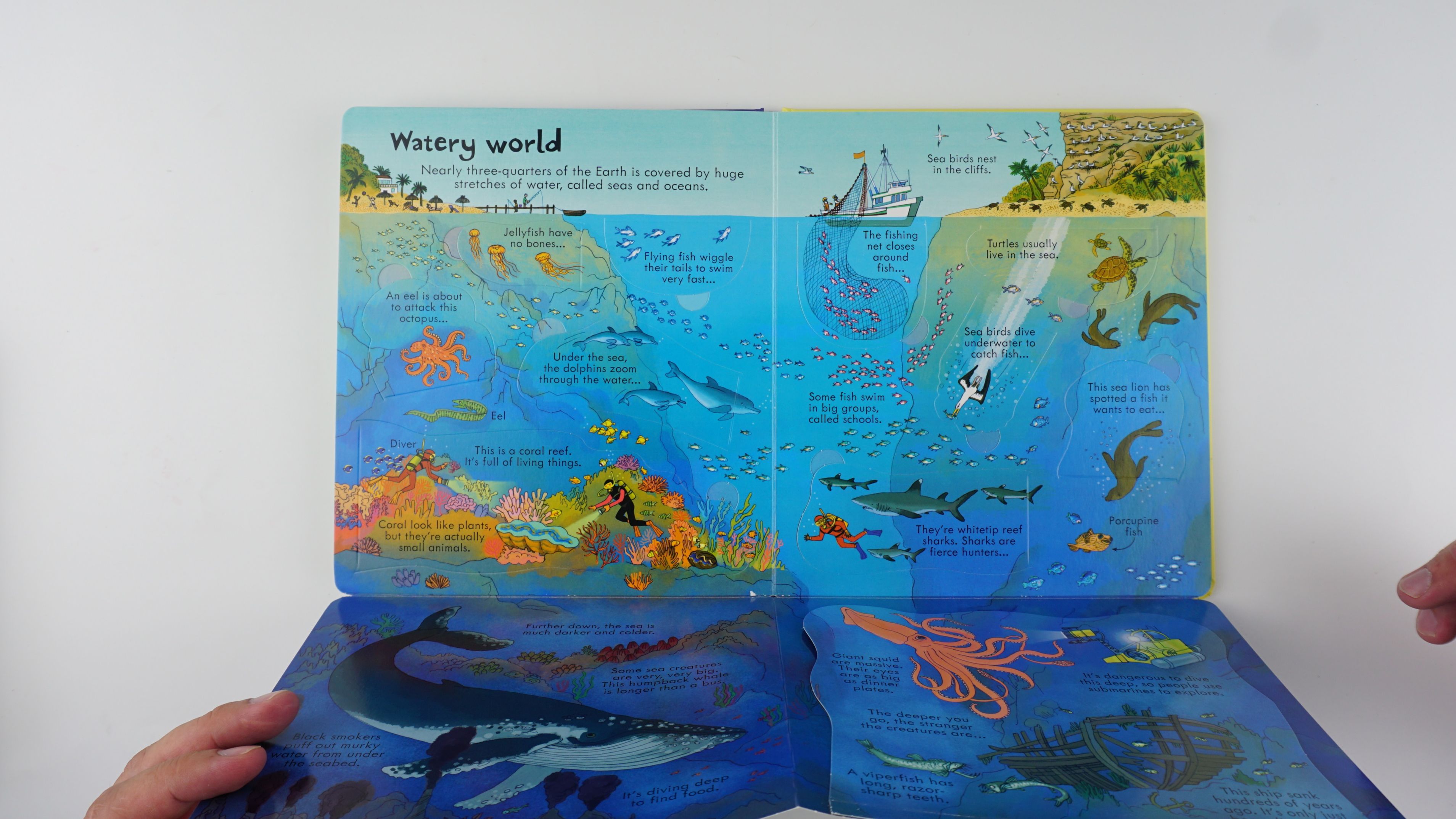 Look Inside Our World