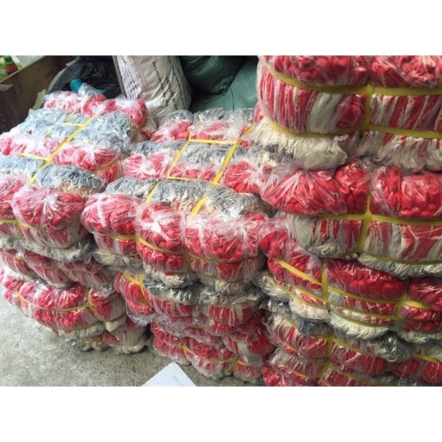 Gang tay sơn đỏ ( 10 đôi)