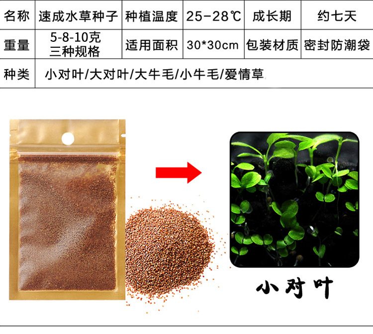Hạt giống cho hồ thủy sinh cá cảnh