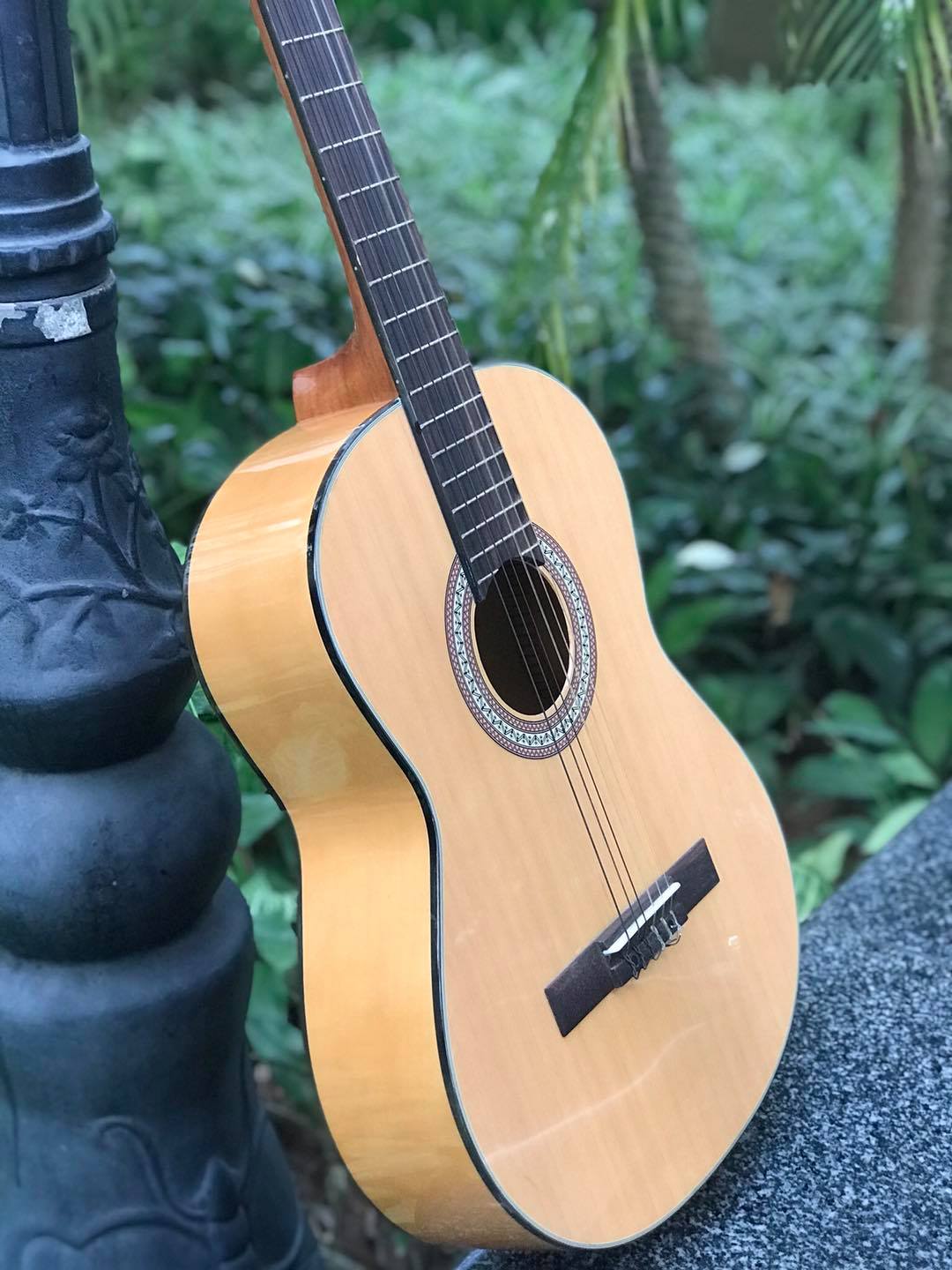 Đàn Guitar Classic REX HGW195 chính hãng - Singapore