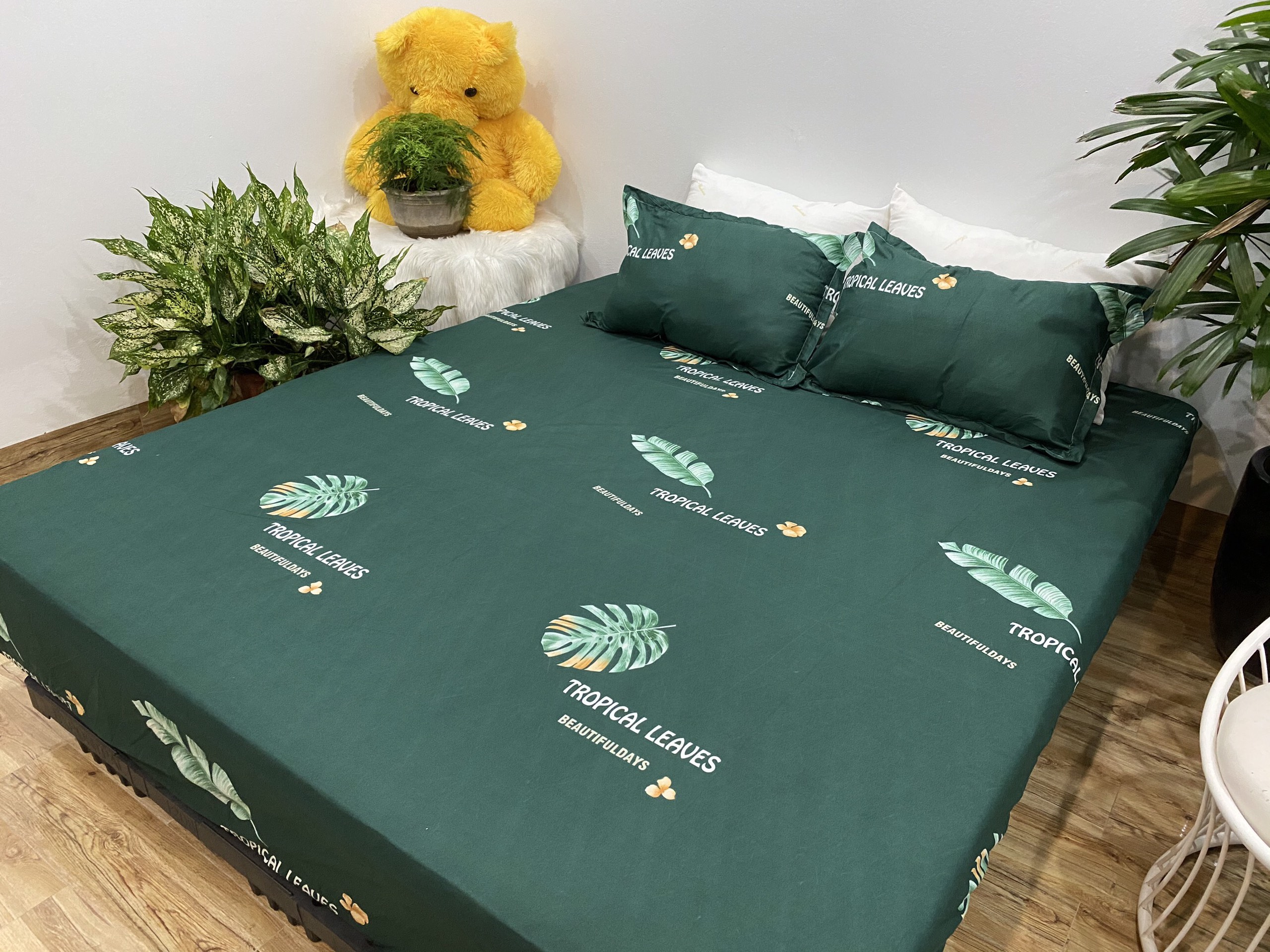 Set Ga Gối 3 Món (Gồm 1 Ga bo chun + 2 Vỏ Gối Nằm) Mẫu Lá Chuối CH219
