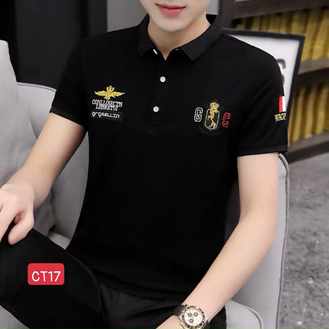 [HCM]áo thun nam cổ bẻ thời trang - áo thun polo nam cao cấp - áo thun nam phong cách thời trang binstore94 ct17