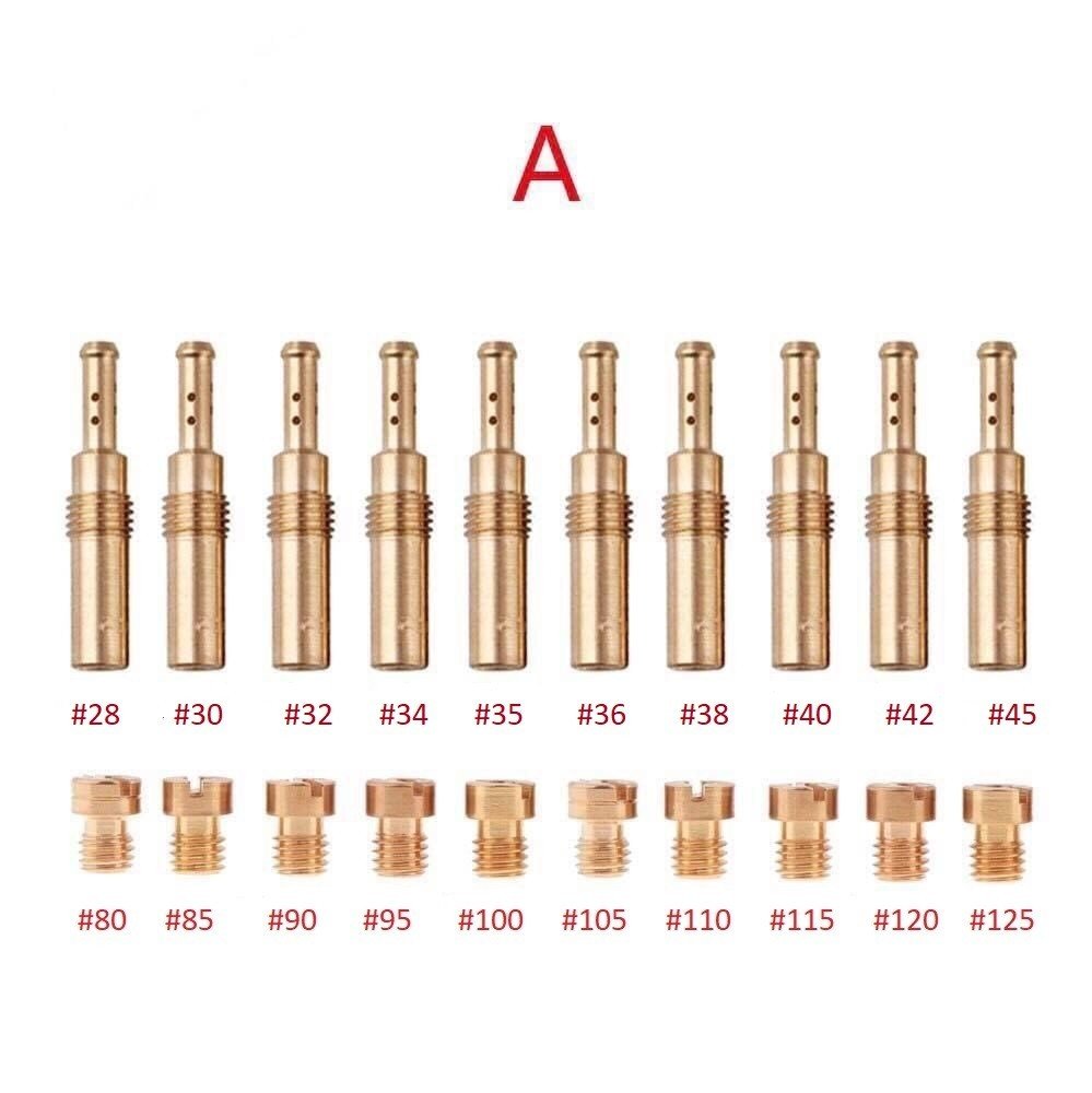 Combo A gồm 20 con : Béc Bông mai / Giclo Bông Mai ( Thông số như hình )