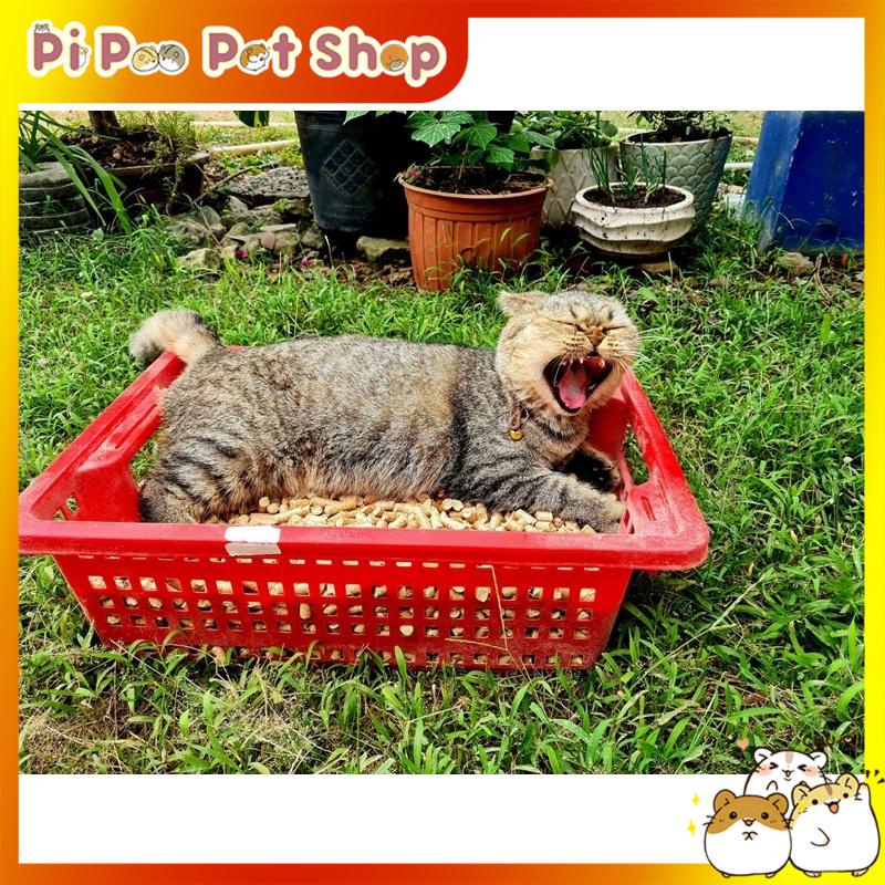 Gỗ nén - Cát vệ sinh cho mèo bao 10kg