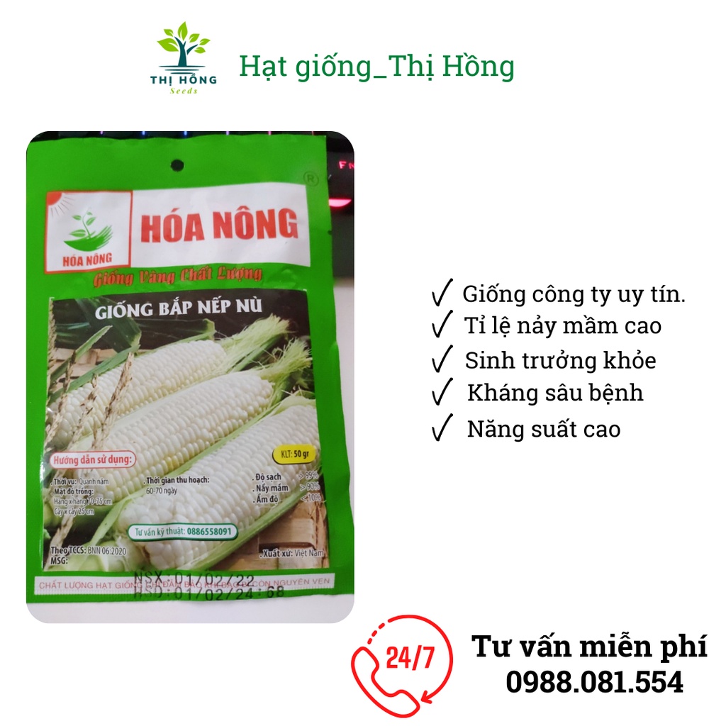 Hạt giống bắp nếp nù 50g (bắp nù sữa, ngô nếp nù, ăn có vị thơm, dẻo đặc trưng)
