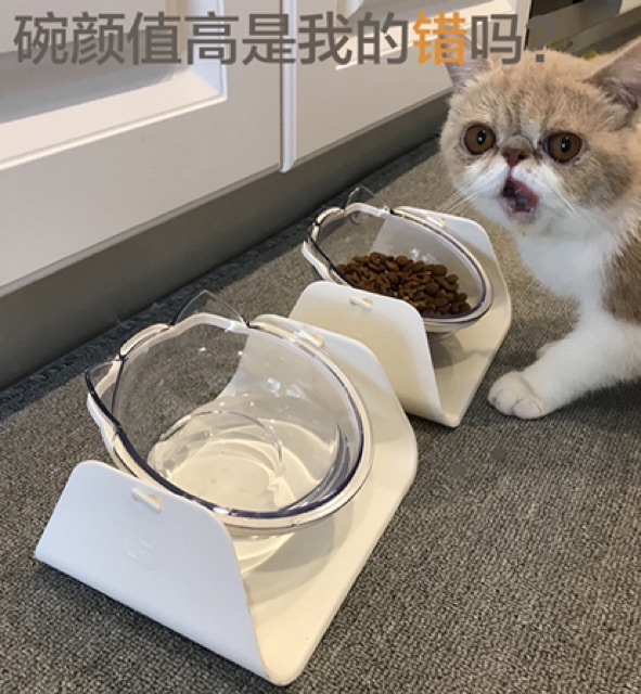 Bát ăn nghiêng chống gù lưng cho chó mèo