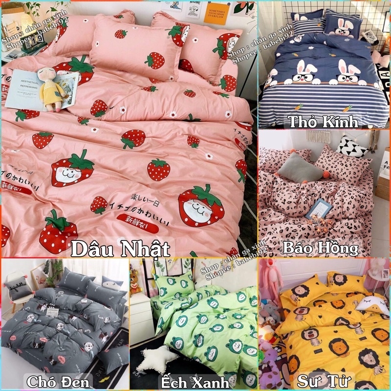 Bộ 5 Món Vỏ Chăn Ga Gối Coton poly cao cấp ( không kèm ruột )