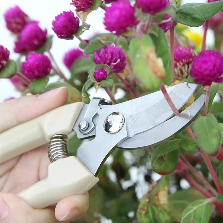 Kéo cắt cành cây BERRYLION siêu cứng