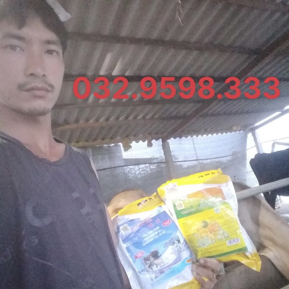 Siêu Vỗ Béo Bò Dê, Hàng Chuẩn Công Ty BigBoss