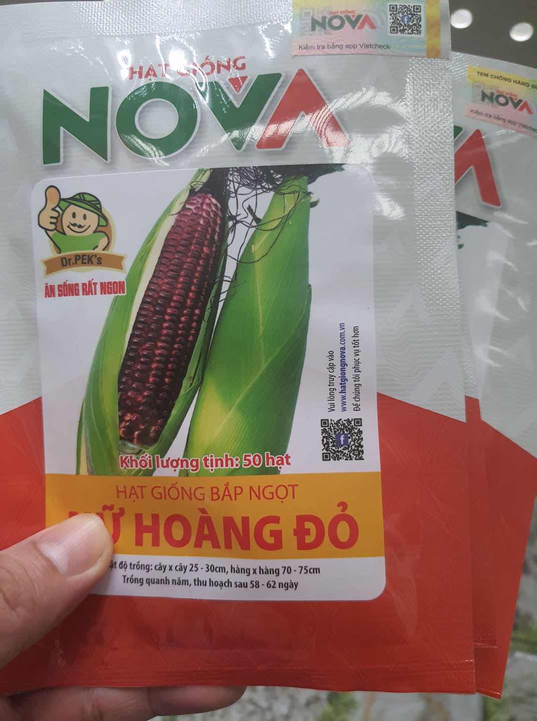 Hạt giống bắp nữ hoàng đỏ NOVA (  gói 50 hạt )