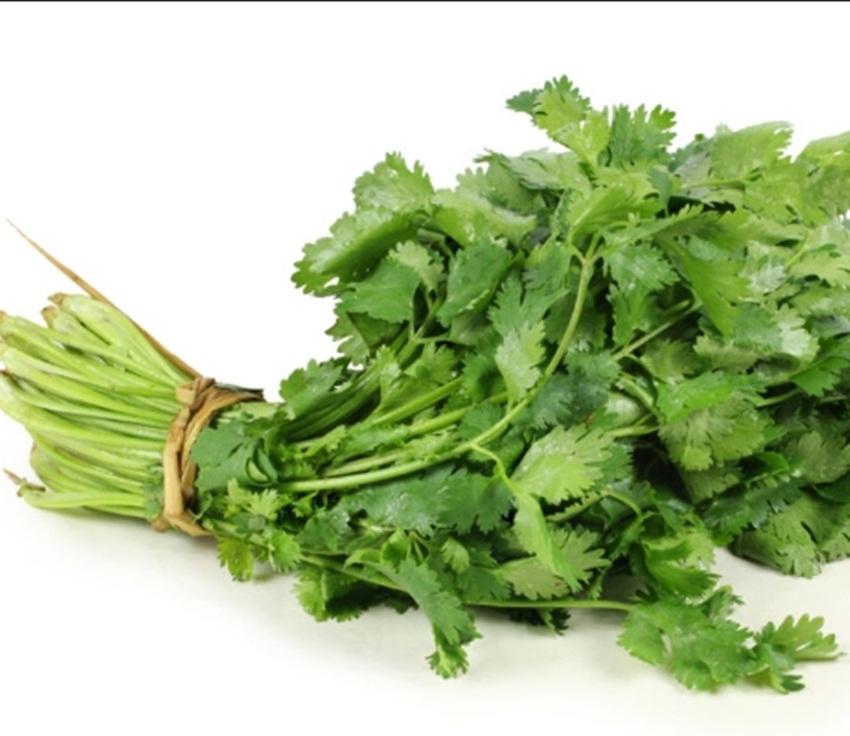 Hạt giống Mùi tây