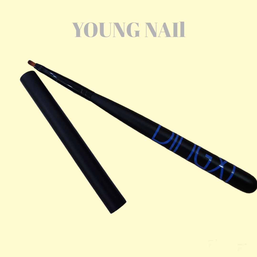 cọ vẽ hoa cúc Dingxi