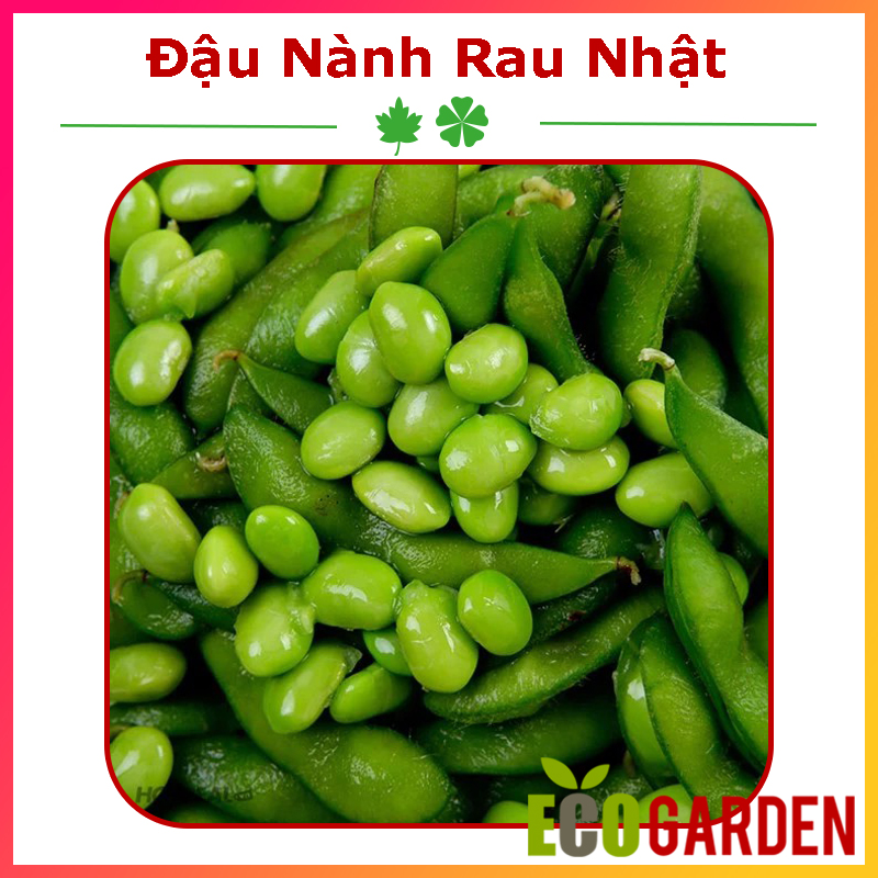 Hạt giống đậu nành rau nhật bản