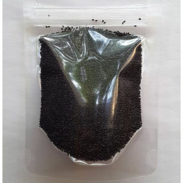 Hạt é phan rang thượng hạng 100g
