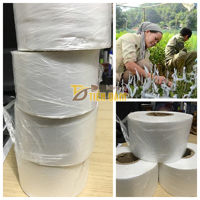 Cuộn băng ghép cây tự hủy bản 8 cm