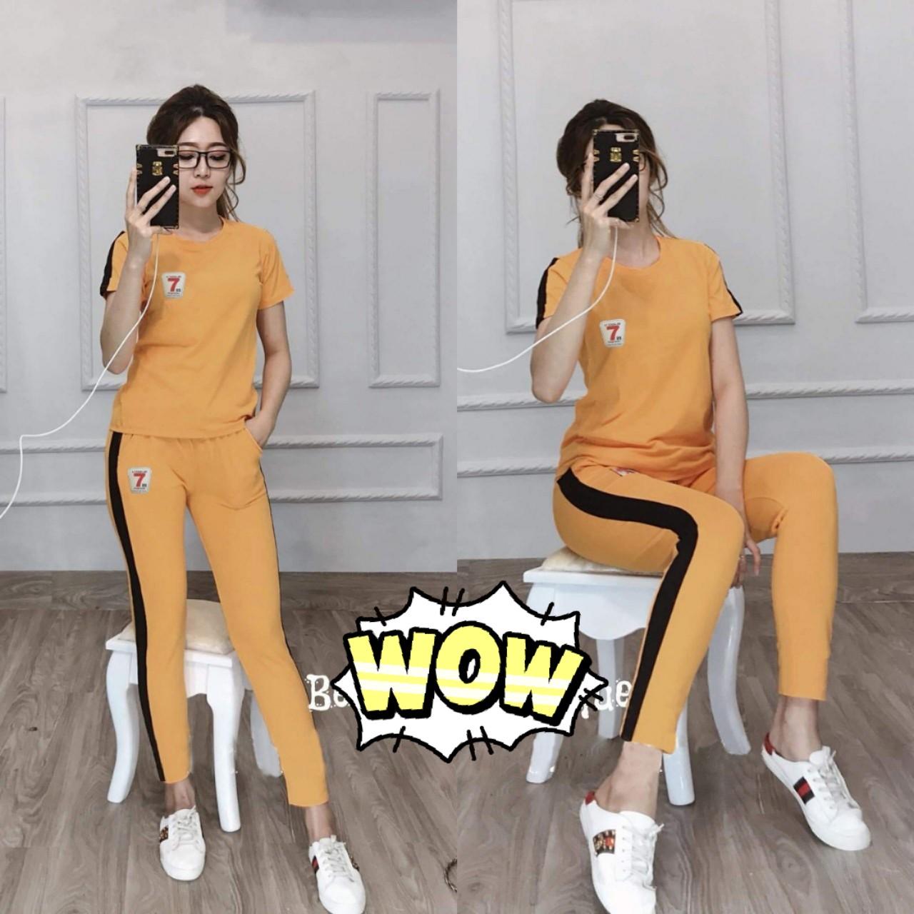 [HCM]ĐỒ BỘ NỮ THUN COTTON MỊN MÁT THỜI TRANG HÓT HÈ