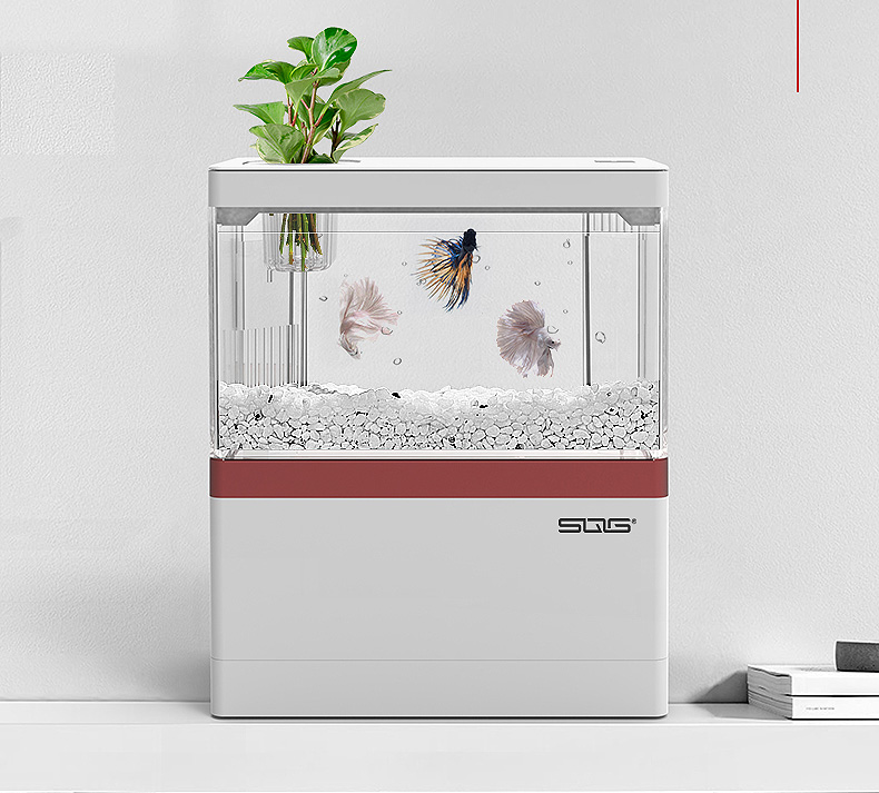 Bể cá mini để bàn Bể cá thủy sinh mini 05