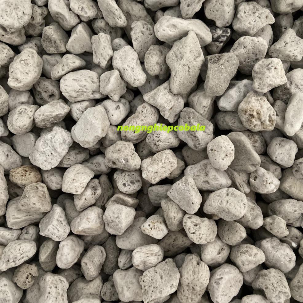 Đá Bọt Pumice Trồng Cây, Hoa Kiểng (2.8kg)