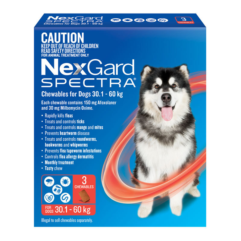 Nexgard Spectra 30.1-60kg Phòng Ve Rận Ghẻ Demodex Bọ Chét Giun Cho Cún Lẻ 1 Viên