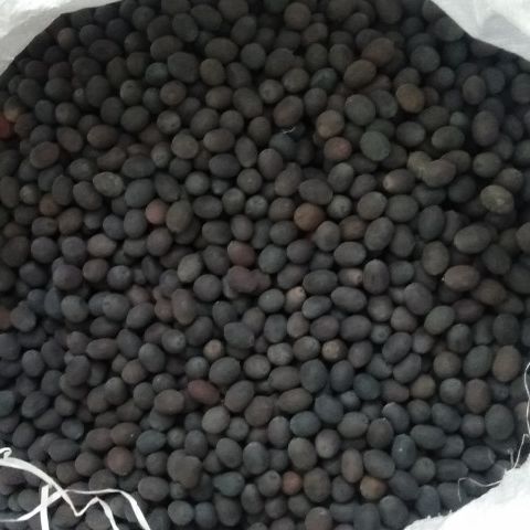 Hạt Sen Khô Đen Đồng Tháp 300g