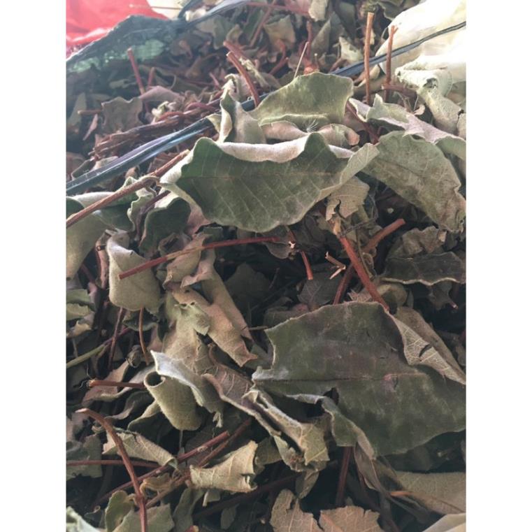 Lá Cây Hà Thủ Ô Đỏ khô sạch (dây + lá)