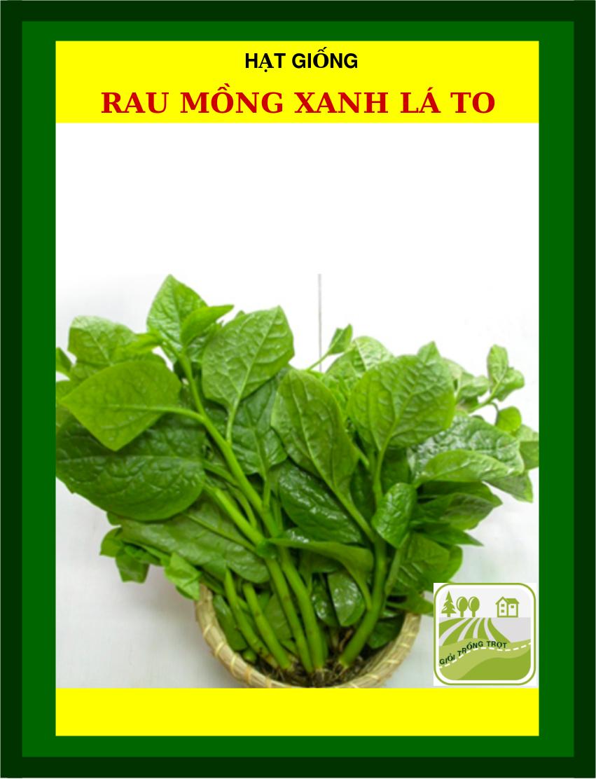 Hạt Mồng Tơi Đỏ, Xanh Lá To 50 Gram