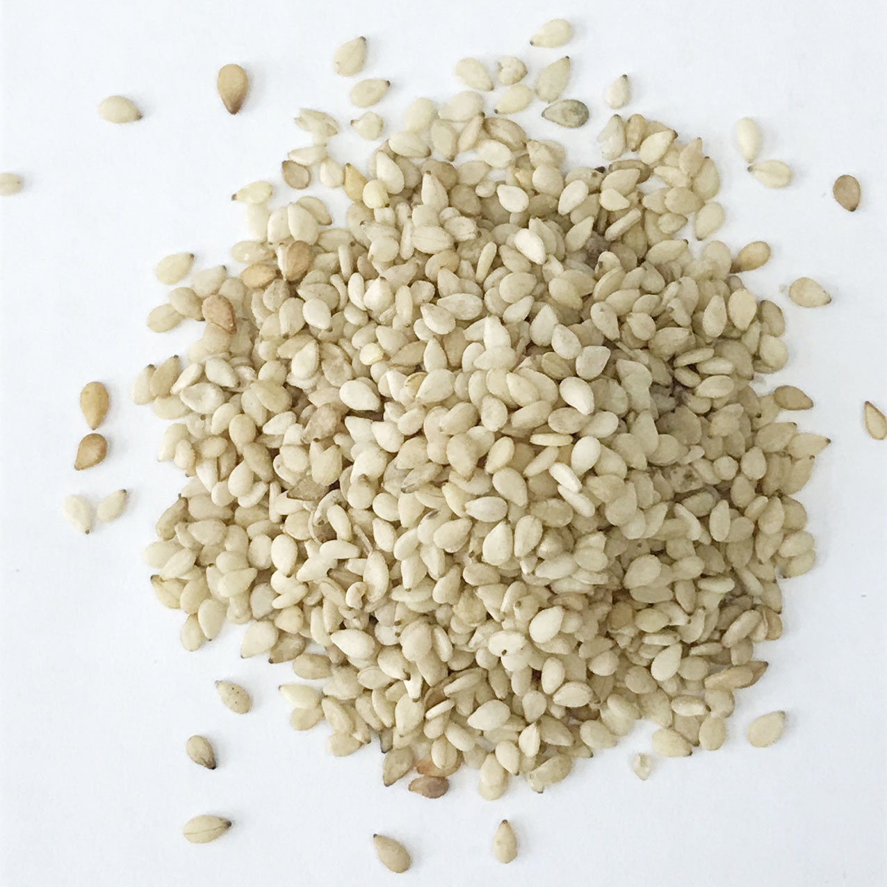 Hạt Mè Trắng 200gr, 500gram - hạt vừng