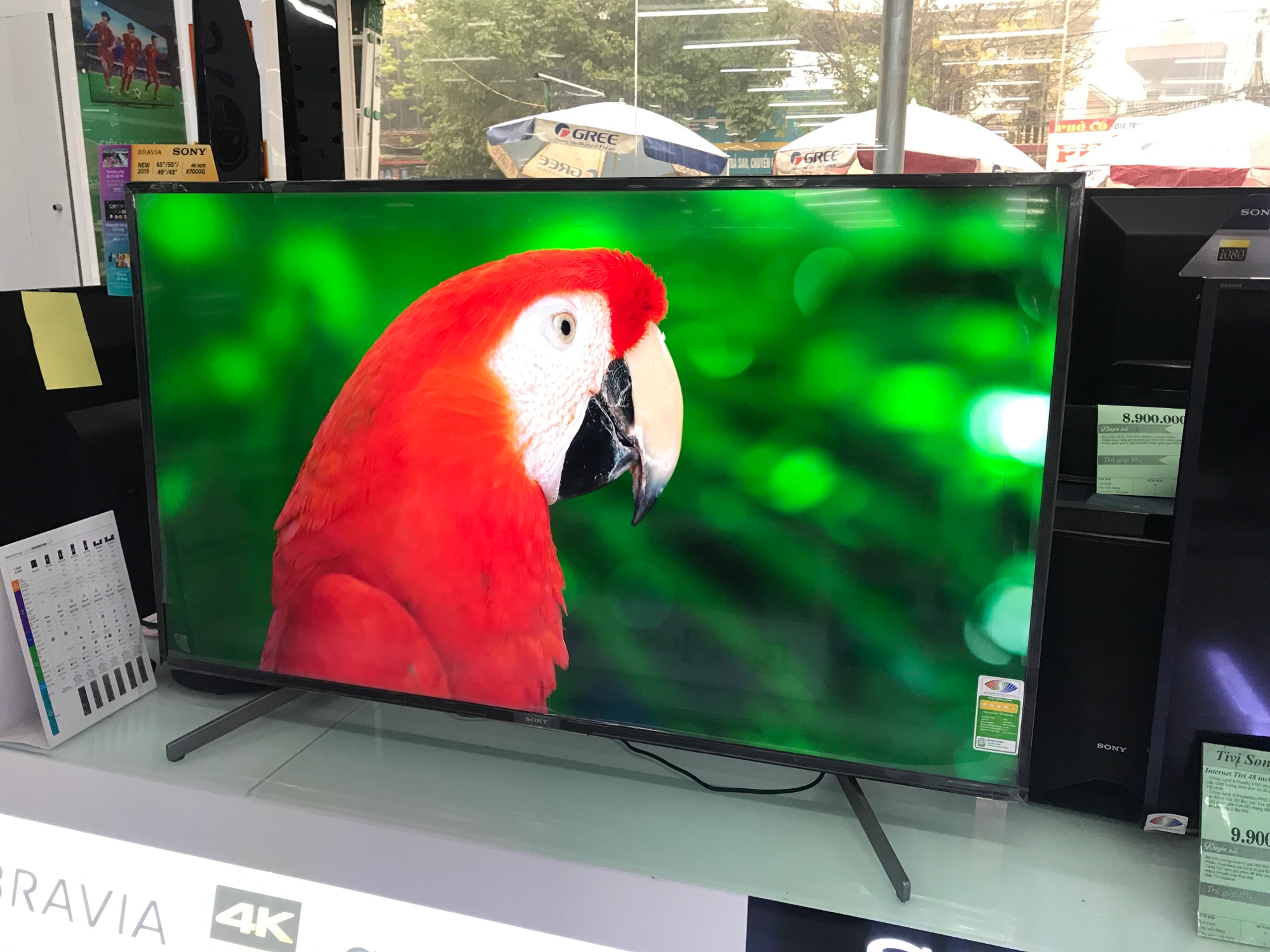 Tivi sony 2019