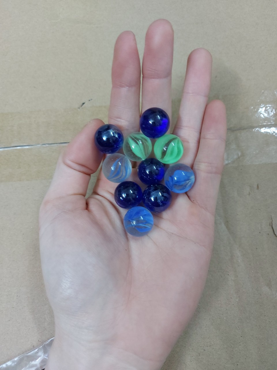 Phụ kiện trang trí bể cá: Bi ve cỡ nhỏ
