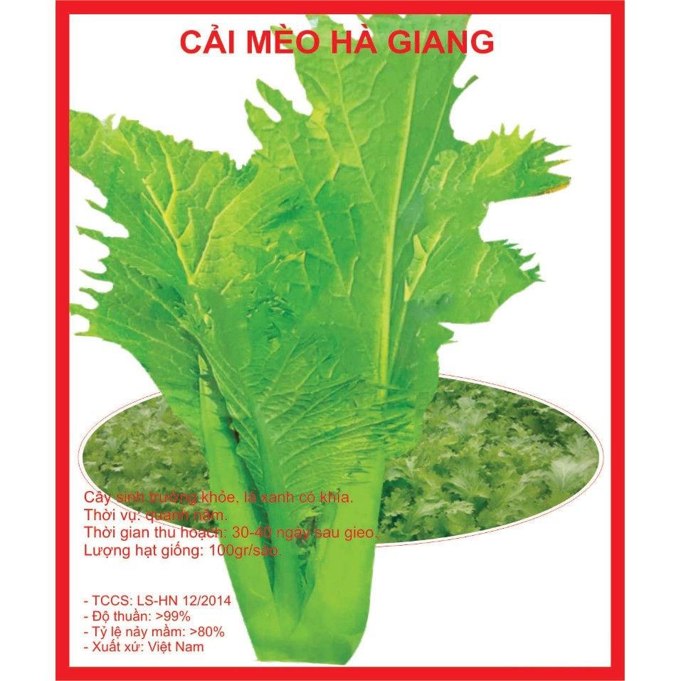 Hạt giống cải mèo