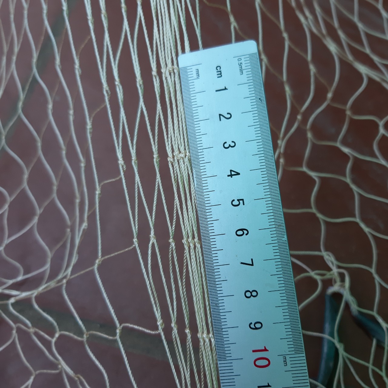 chài cá 6cm cao 3m2