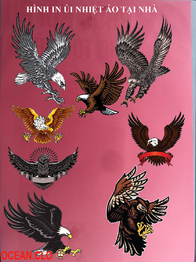 Sticker Logo American Eagle FOR IRON CLOTHER