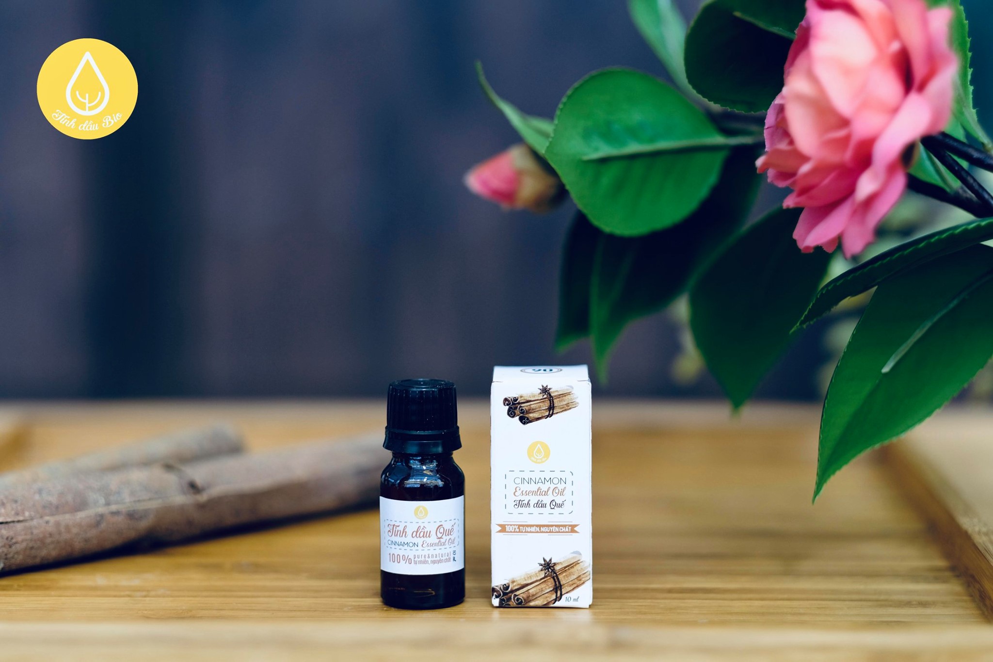 TINH DẦU ĐÈN XÔNG - TINH DẦU XÔNG PHÒNG