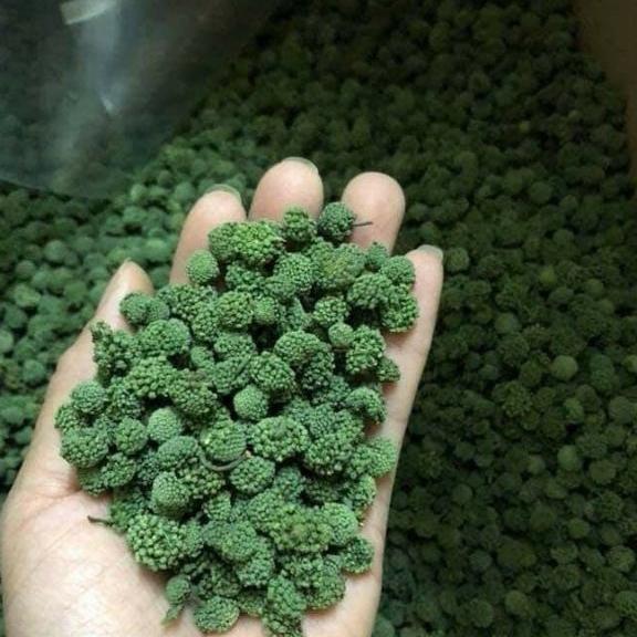 500g nụ tam thất không cuống