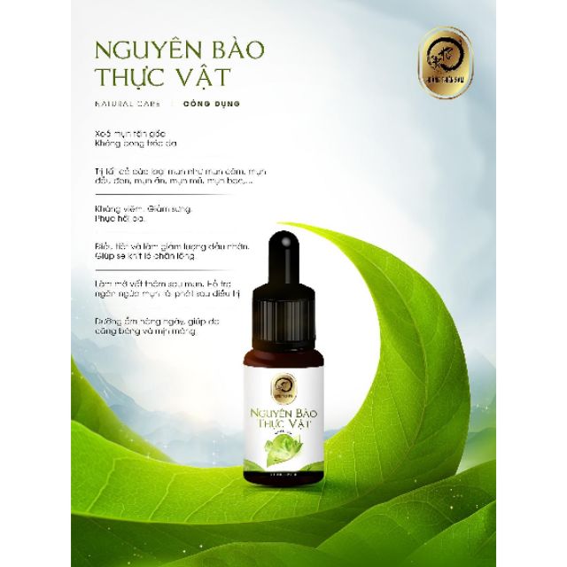 NGUYÊN BÀO THỰC VẬT HOÀNG THIÊN SÂM