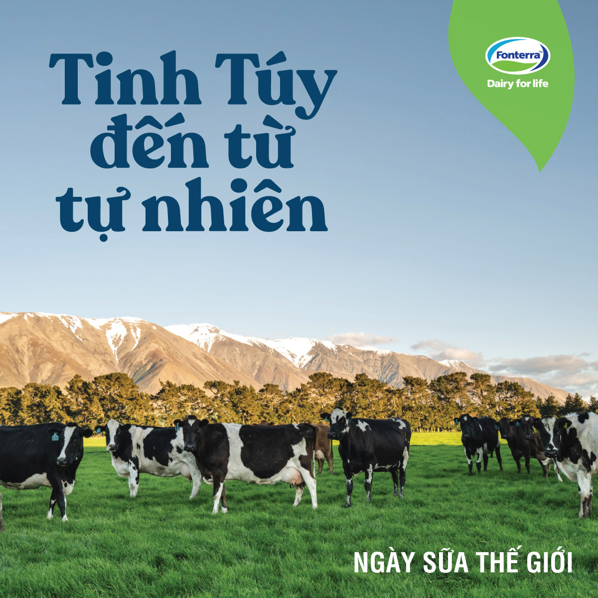 [Voucher giảm đến 26%]Combo 5 Sữa Bột Anlene Gold Hương Vani 800G