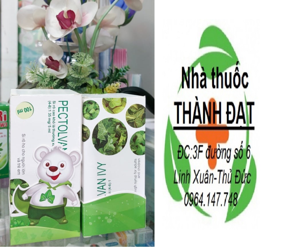 Pectolvan ivy siro ho thảo được từ cao khô lá thường xuân pectolvanivy