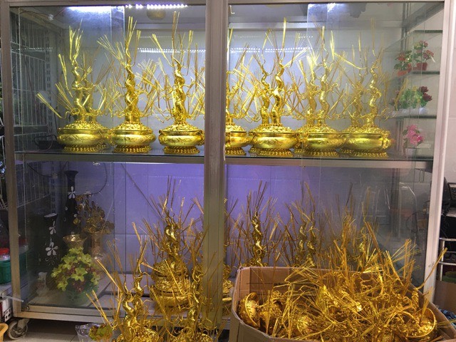 Gốc cây kim tiền( thỏi vàng +gốc)