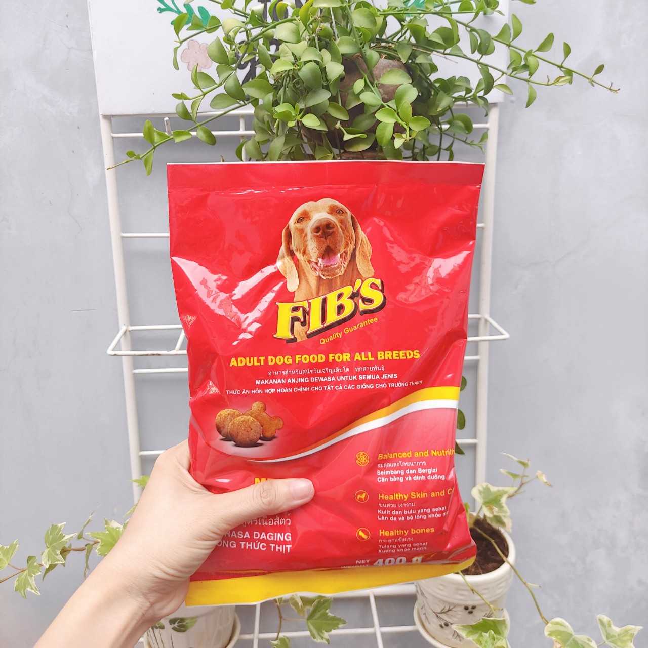 Thức Ăn Hạt Khô Cho Chó Fib 400g giá rẻ