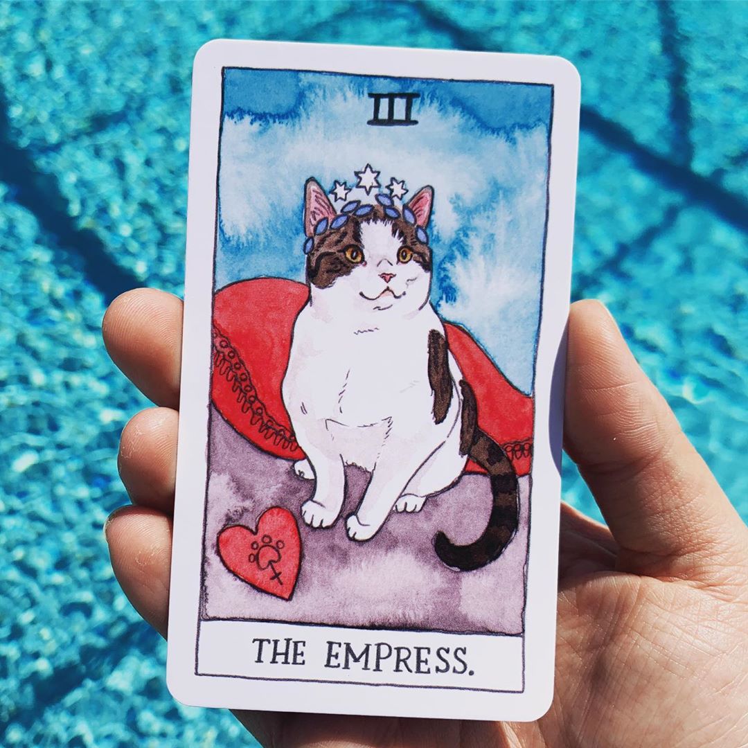 [Size Gốc] Bộ bài Bài Cat Tarot