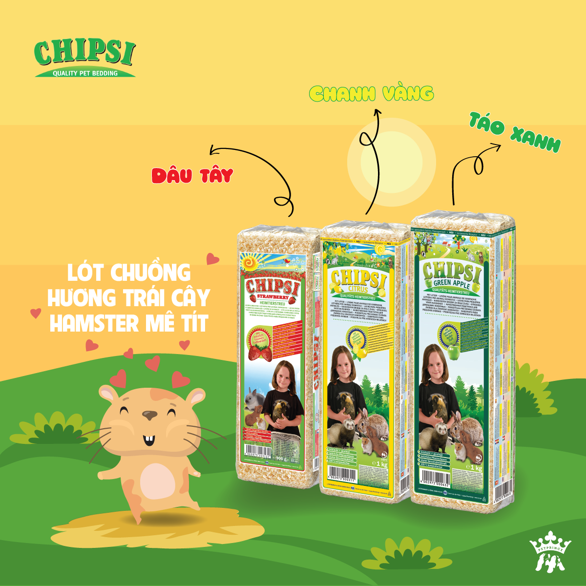 Mùn cưa Chipsi cho hamster , thỏ, bọ,sóc, nhím