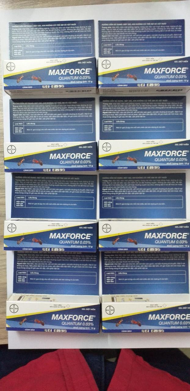 Gel Diệt Kiến MAXFORCE QUANTUM 0.03% Tuýp 12gam (BAYER)