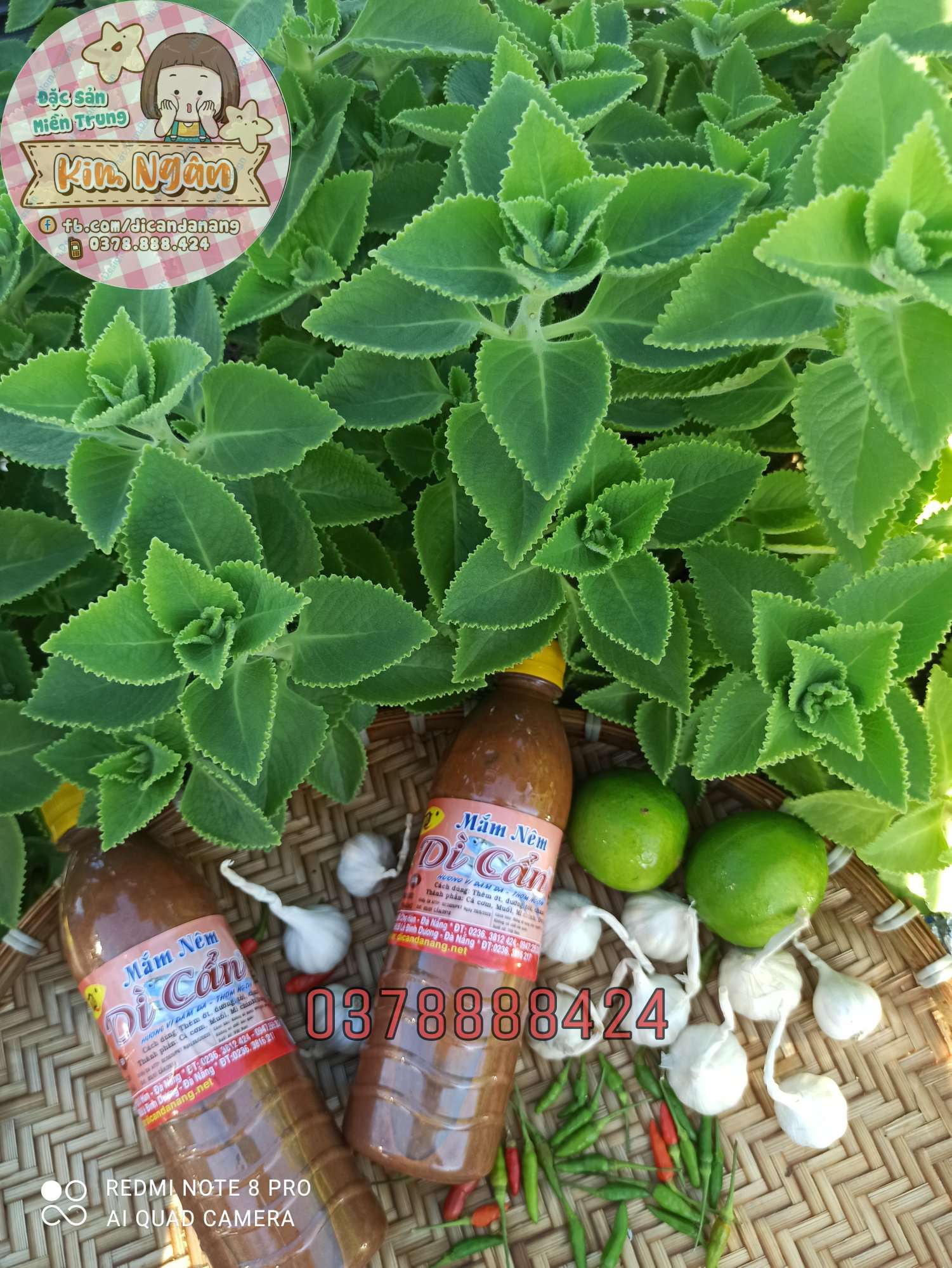 [HCM][Combo] 2 chai mắm nêm Dì Cẩn 500g