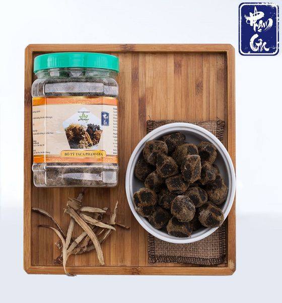 BỔ TỲ TACA PHẠM GIA SỈ VÀ LẺ
