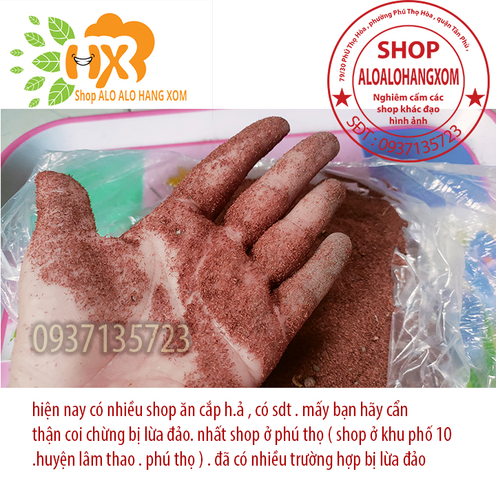 hạt giống cây tràm úc - 500 gram