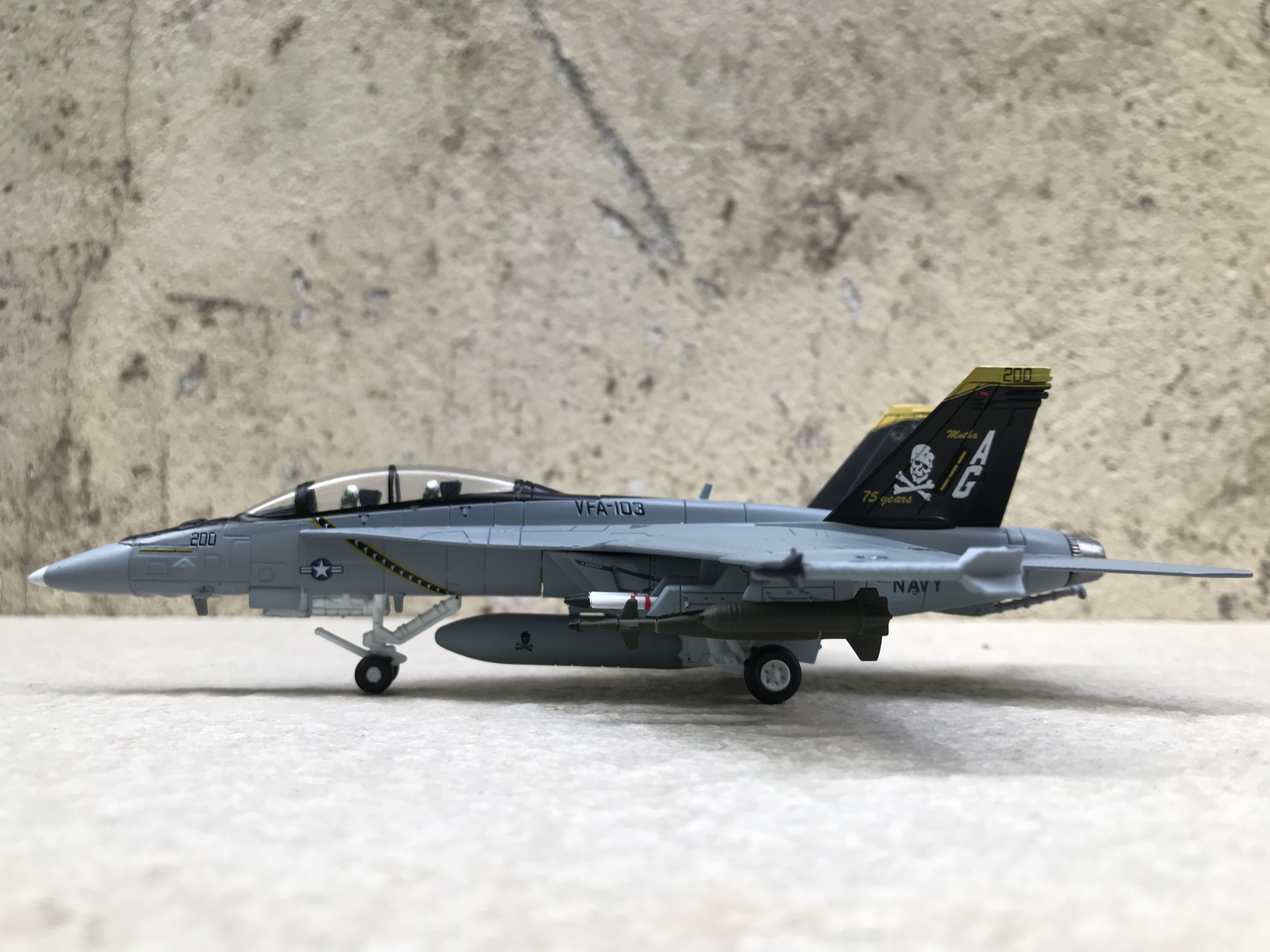 [HCM]Mô hình Máy bay F-18F/A Super Hornet - 1:100